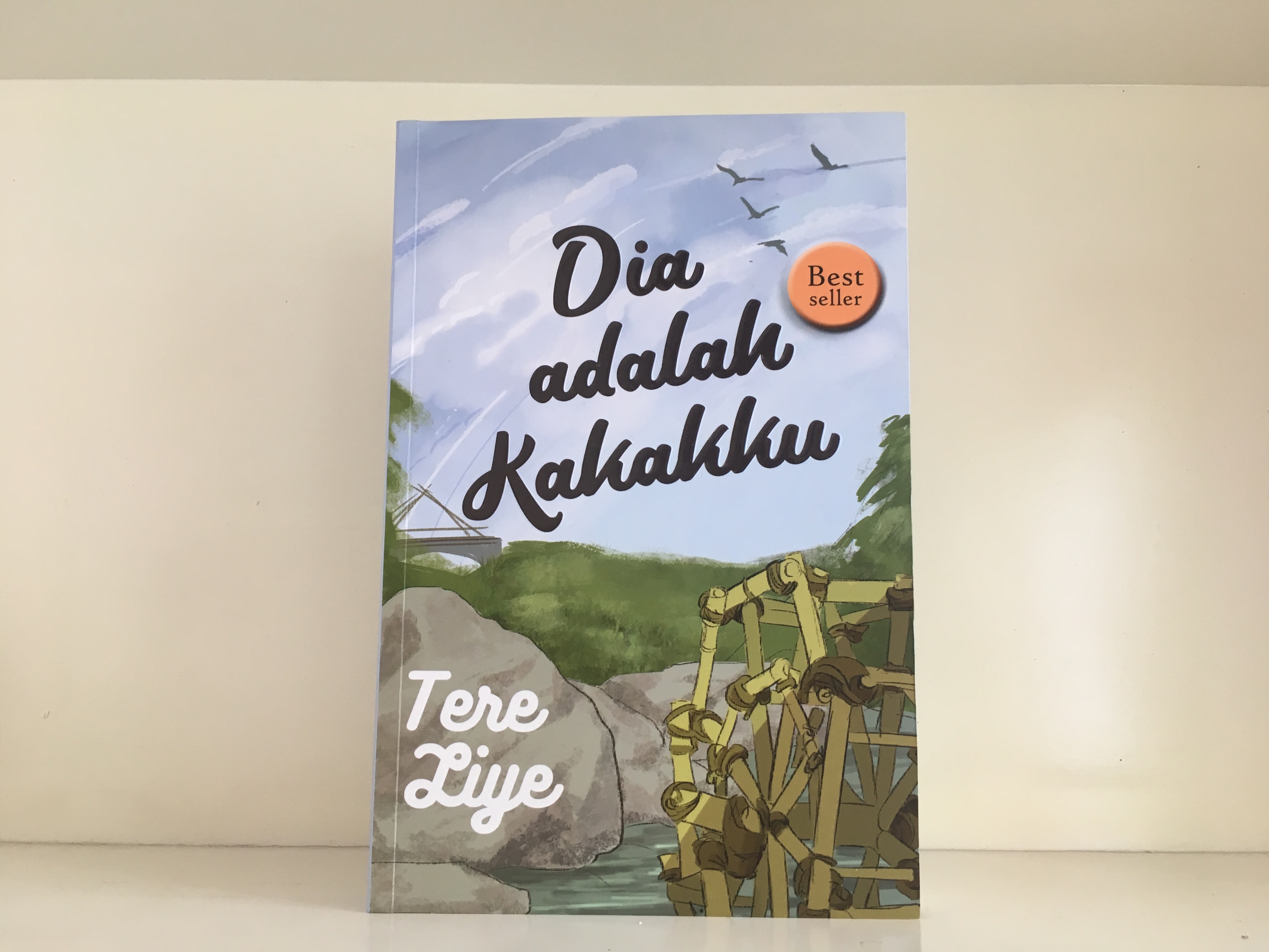 Review Buku Dia Adalah Kakakku Karya Tere Liye Aisaidluv